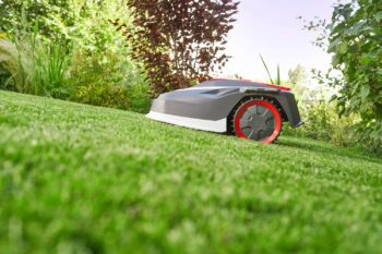 AL-KO Robot Koszący Robolinho 1300 W