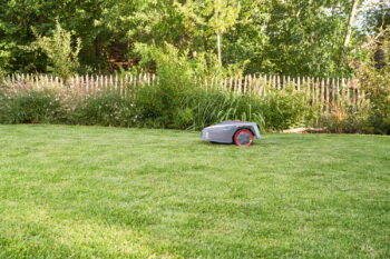 AL-KO Robot Koszący Robolinho 350 W