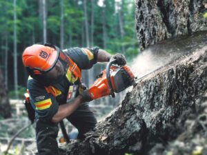 Husqvarna Pilarka spalinowa 565 Husqvarna Pilarka spalinowa 565