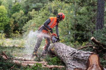 Husqvarna Pilarka spalinowa 550 XP® G Mark II