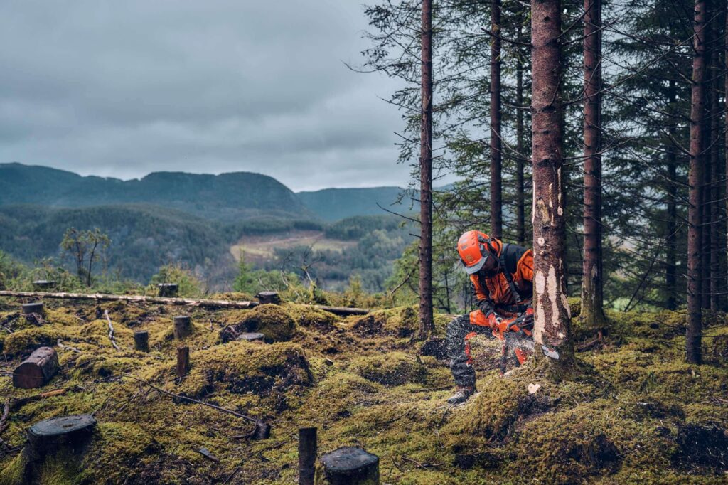 Husqvarna Pilarka spalinowa 540 XP® Mark III Husqvarna Pilarka spalinowa 540 XP® Mark III