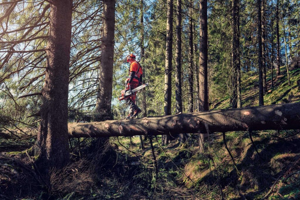 Husqvarna Pilarka spalinowa 572 XP® G Husqvarna Pilarka spalinowa 572 XP® G