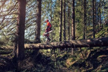 Husqvarna Pilarka spalinowa 572 XP® G