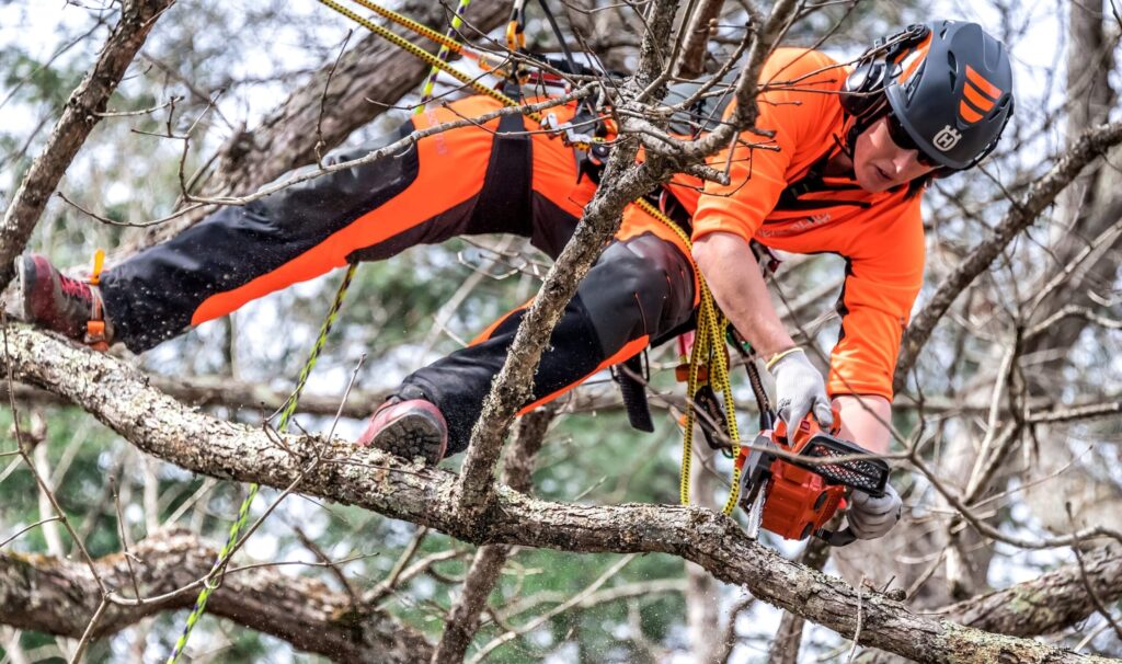 Husqvarna Pilarka spalinowa T525 Husqvarna Pilarka spalinowa T525