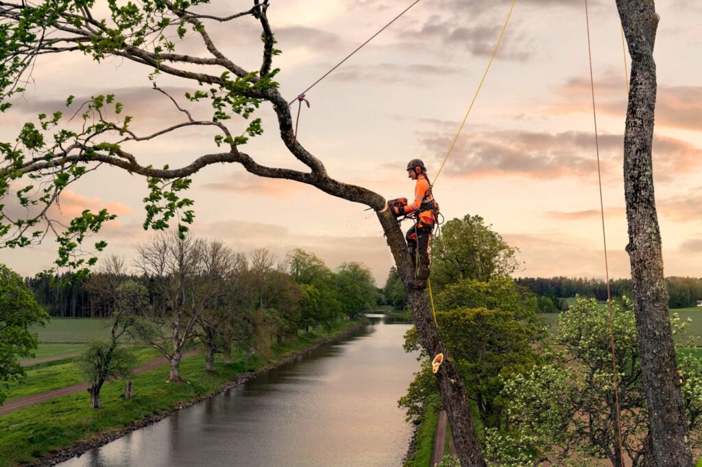 Husqvarna Pilarka spalinowa T540 XP® Mark III Husqvarna Pilarka spalinowa T540 XP® Mark III