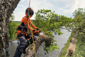 Husqvarna Pilarka spalinowa T540 XP® Mark III Husqvarna Pilarka spalinowa T540 XP® Mark III